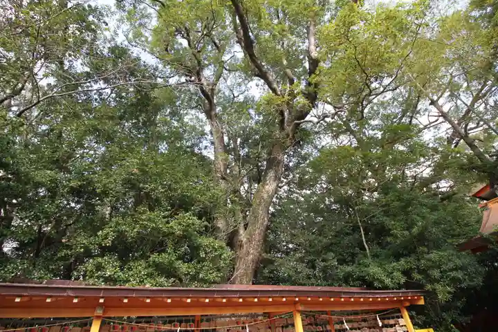 枚聞神社の自然