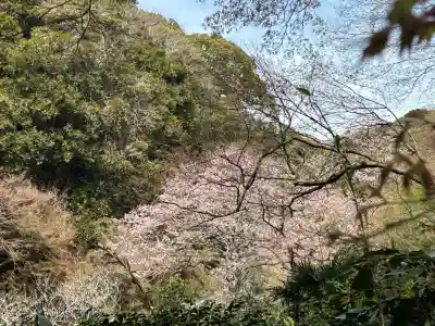 瑞泉寺の{uncategorized: "未分類", other: "その他", undefined: "問題あり", building: "その他建物", grave: "お墓", sacred_gate: "鳥居", guardian: "狛犬", statue: "像", buddha: "仏像", history: "歴史", nature: "自然", garden: "庭園", animal: "動物", pagoda: "塔", temizu: "手水舎", mountain_gate: "山門・神門", sanctuary: "本殿・本堂", subordinate: "末社・摂社", art: "芸術", scenery: "景色", jizo: "地蔵", ema: "絵馬", goshuin: "御朱印", omikuji: "おみくじ", items: "授与品その他", amulet: "お守り", goshuincho: "御朱印帳", eats: "食事", festival: "お祭り", votive_dance: "神楽", shichigosan: "七五三参", wedding: "結婚式", experience: "体験その他", initially: "初詣", around: "周辺", anti_infection: "感染症対策"}
