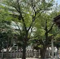 くまくま神社(導きの社 熊野町熊野神社)(東京都)