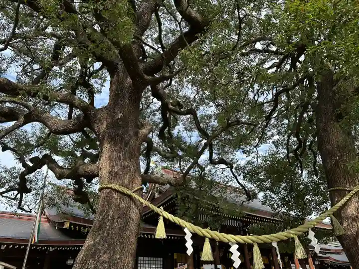 明治神宮(東京都)