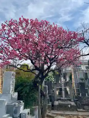西念寺(東京都)