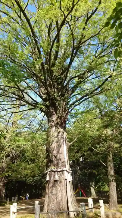 赤坂氷川神社(東京都)