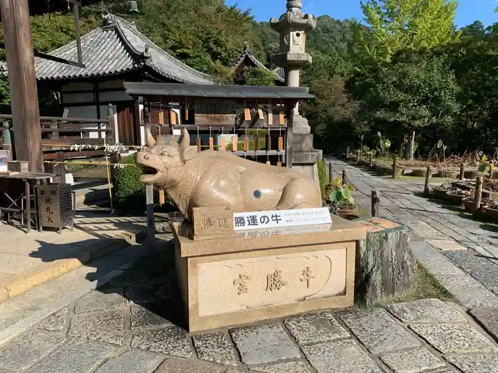 三室戸寺の狛犬