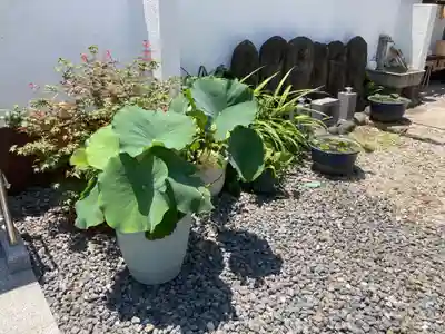 薬王寺(神奈川県)