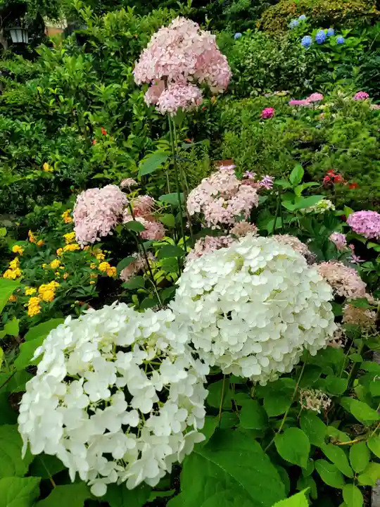 豊景神社(福島県)