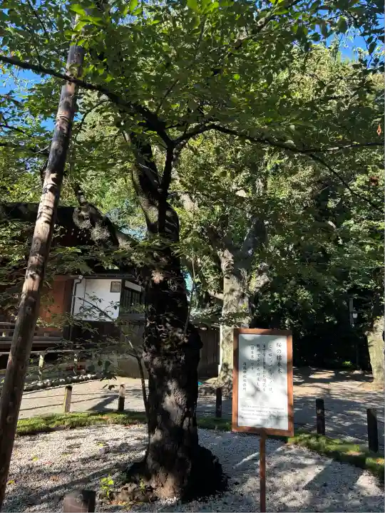 靖國神社(東京都)