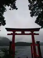 箱根神社の鳥居