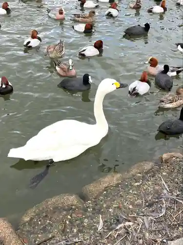 水原八幡宮(新潟県)