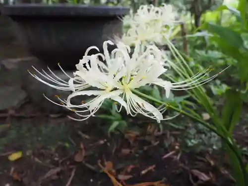 宝戒寺(神奈川県)