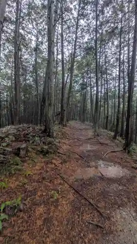 秋葉神社(京都府)