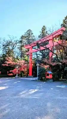 冠稲荷神社の鳥居
