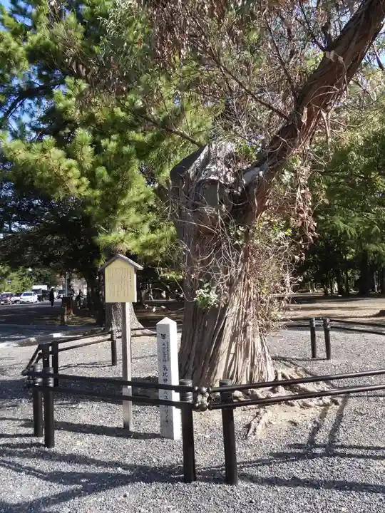 氣比神宮(福井県)