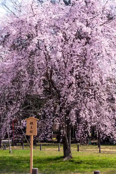 賀茂別雷神社(上賀茂神社)(京都府)