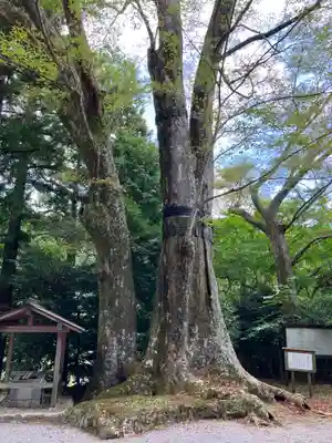 國津神社(三重県)