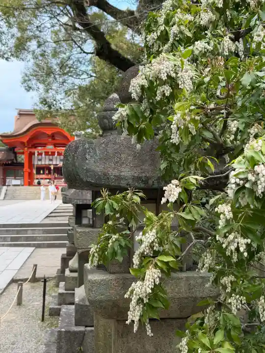 石清水八幡宮の{uncategorized: "未分類", other: "その他", undefined: "問題あり", building: "その他建物", grave: "お墓", sacred_gate: "鳥居", guardian: "狛犬", statue: "像", buddha: "仏像", history: "歴史", nature: "自然", garden: "庭園", animal: "動物", pagoda: "塔", temizu: "手水舎", mountain_gate: "山門・神門", sanctuary: "本殿・本堂", subordinate: "末社・摂社", art: "芸術", scenery: "景色", jizo: "地蔵", ema: "絵馬", goshuin: "御朱印", omikuji: "おみくじ", items: "授与品その他", amulet: "お守り", goshuincho: "御朱印帳", eats: "食事", festival: "お祭り", votive_dance: "神楽", shichigosan: "七五三参", wedding: "結婚式", experience: "体験その他", initially: "初詣", around: "周辺", anti_infection: "感染症対策"}
