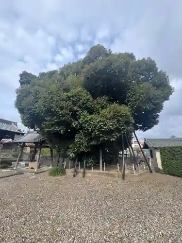 乗蓮寺(愛知県)