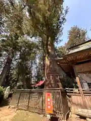 近津神社(茨城県)