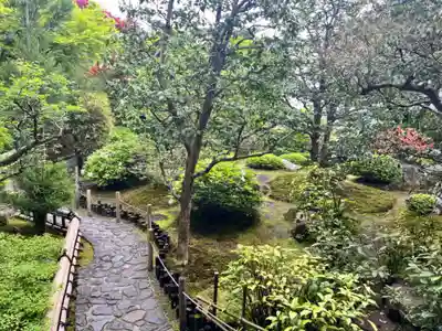 華厳寺(鈴虫寺)(京都府)