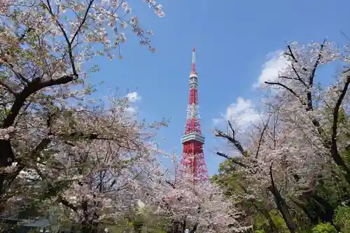 増上寺塔頭 三縁山 宝珠院の景色