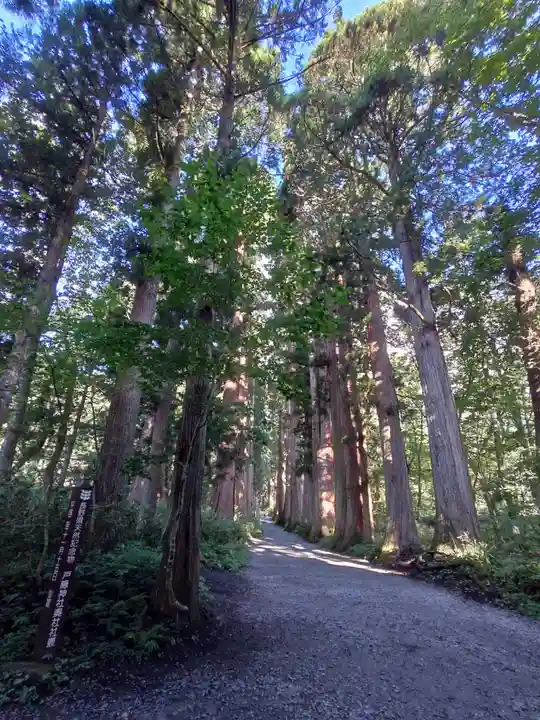 戸隠神社奥社(長野県)