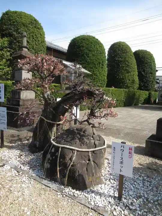 真光寺(千葉県)