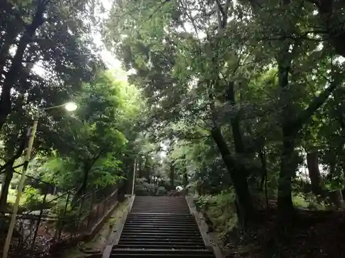 渋谷氷川神社の自然