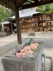 賀茂別雷神社の手水
