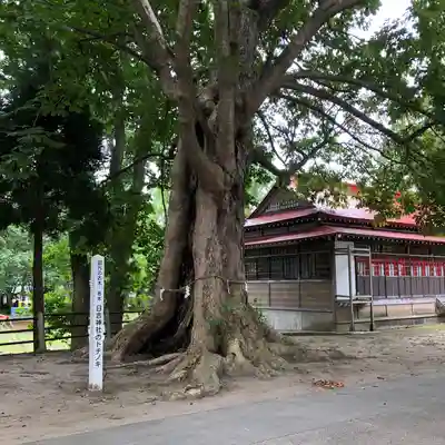 日吉神社(秋田県)
