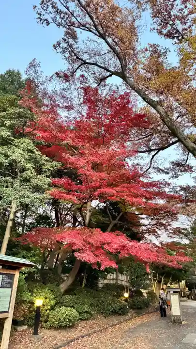 【閉業】小石川大神宮の{uncategorized: "未分類", other: "その他", undefined: "問題あり", building: "その他建物", grave: "お墓", sacred_gate: "鳥居", guardian: "狛犬", statue: "像", buddha: "仏像", history: "歴史", nature: "自然", garden: "庭園", animal: "動物", pagoda: "塔", temizu: "手水舎", mountain_gate: "山門・神門", sanctuary: "本殿・本堂", subordinate: "末社・摂社", art: "芸術", scenery: "景色", jizo: "地蔵", ema: "絵馬", goshuin: "御朱印", omikuji: "おみくじ", items: "授与品その他", amulet: "お守り", goshuincho: "御朱印帳", eats: "食事", festival: "お祭り", votive_dance: "神楽", shichigosan: "七五三参", wedding: "結婚式", experience: "体験その他", initially: "初詣", around: "周辺", anti_infection: "感染症対策"}