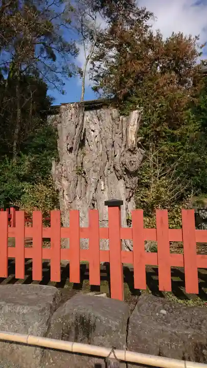 鶴岡八幡宮の{uncategorized: "未分類", other: "その他", undefined: "問題あり", building: "その他建物", grave: "お墓", sacred_gate: "鳥居", guardian: "狛犬", statue: "像", buddha: "仏像", history: "歴史", nature: "自然", garden: "庭園", animal: "動物", pagoda: "塔", temizu: "手水舎", mountain_gate: "山門・神門", sanctuary: "本殿・本堂", subordinate: "末社・摂社", art: "芸術", scenery: "景色", jizo: "地蔵", ema: "絵馬", goshuin: "御朱印", omikuji: "おみくじ", items: "授与品その他", amulet: "お守り", goshuincho: "御朱印帳", eats: "食事", festival: "お祭り", votive_dance: "神楽", shichigosan: "七五三参", wedding: "結婚式", experience: "体験その他", initially: "初詣", around: "周辺", anti_infection: "感染症対策"}