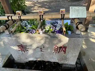 自由が丘熊野神社(東京都)