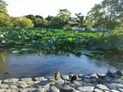 鶴岡八幡宮(神奈川県)