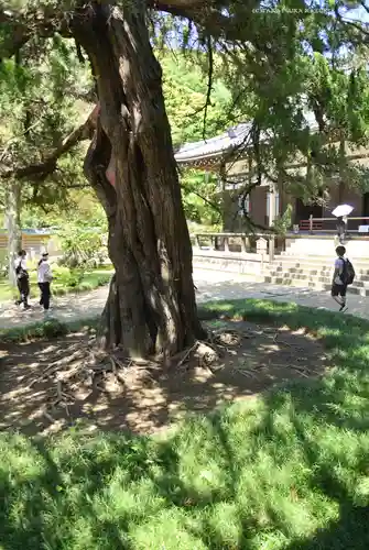 円覚寺(神奈川県)