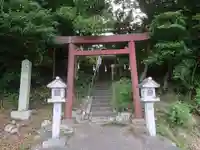 大井神社の鳥居