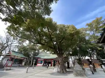 大依羅神社の自然