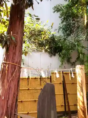 くまくま神社(導きの社 熊野町熊野神社)(東京都)