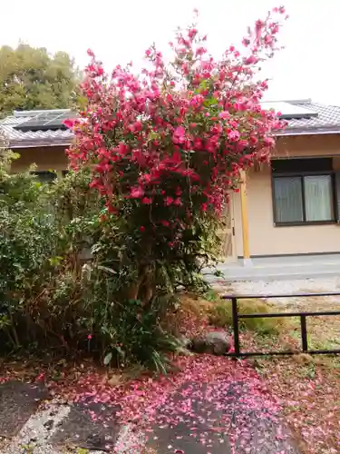 忍　諏訪神社・東照宮　(埼玉県)