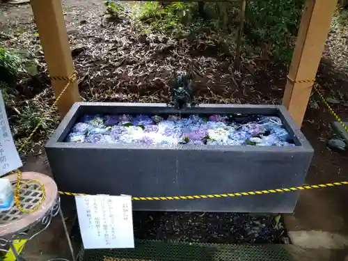 下野 星宮神社の手水舎