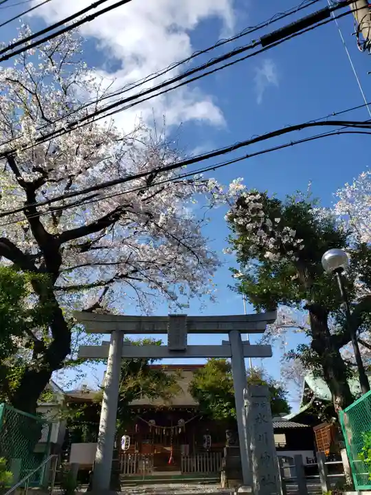 本郷氷川神社(東京都)
