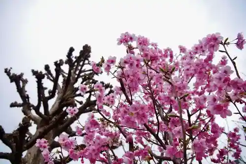 福王山  慈眼寺(東京都)