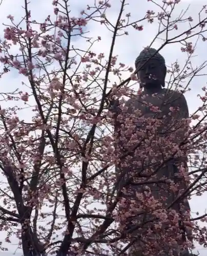 東本願寺本廟 牛久浄苑（牛久大仏）の仏像