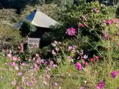 福徳寺の本殿