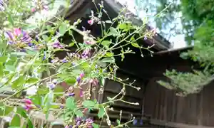 阿邪訶根神社の自然(2021年08月07日(土) 10時56分16秒投稿)