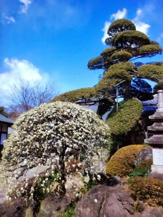 松應寺(東京都)