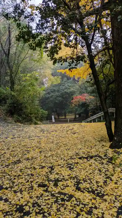 観音寺(山崎聖天)(京都府)