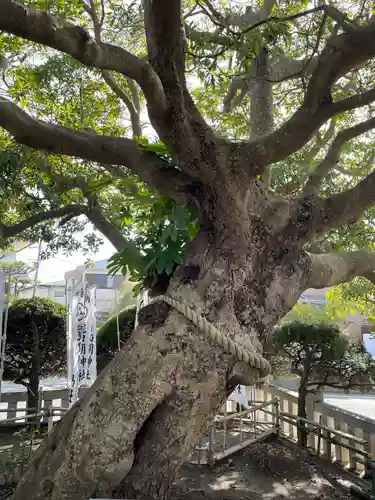 龍口明神社(神奈川県)