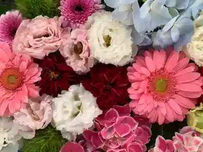 新川皇大神社の手水舎