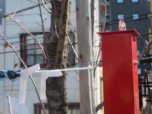 駒込妙義神社(東京都)