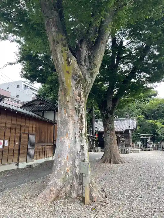 浅間神社(東京都)