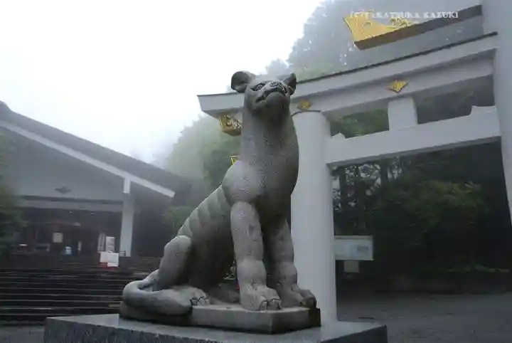 三峯神社(埼玉県)